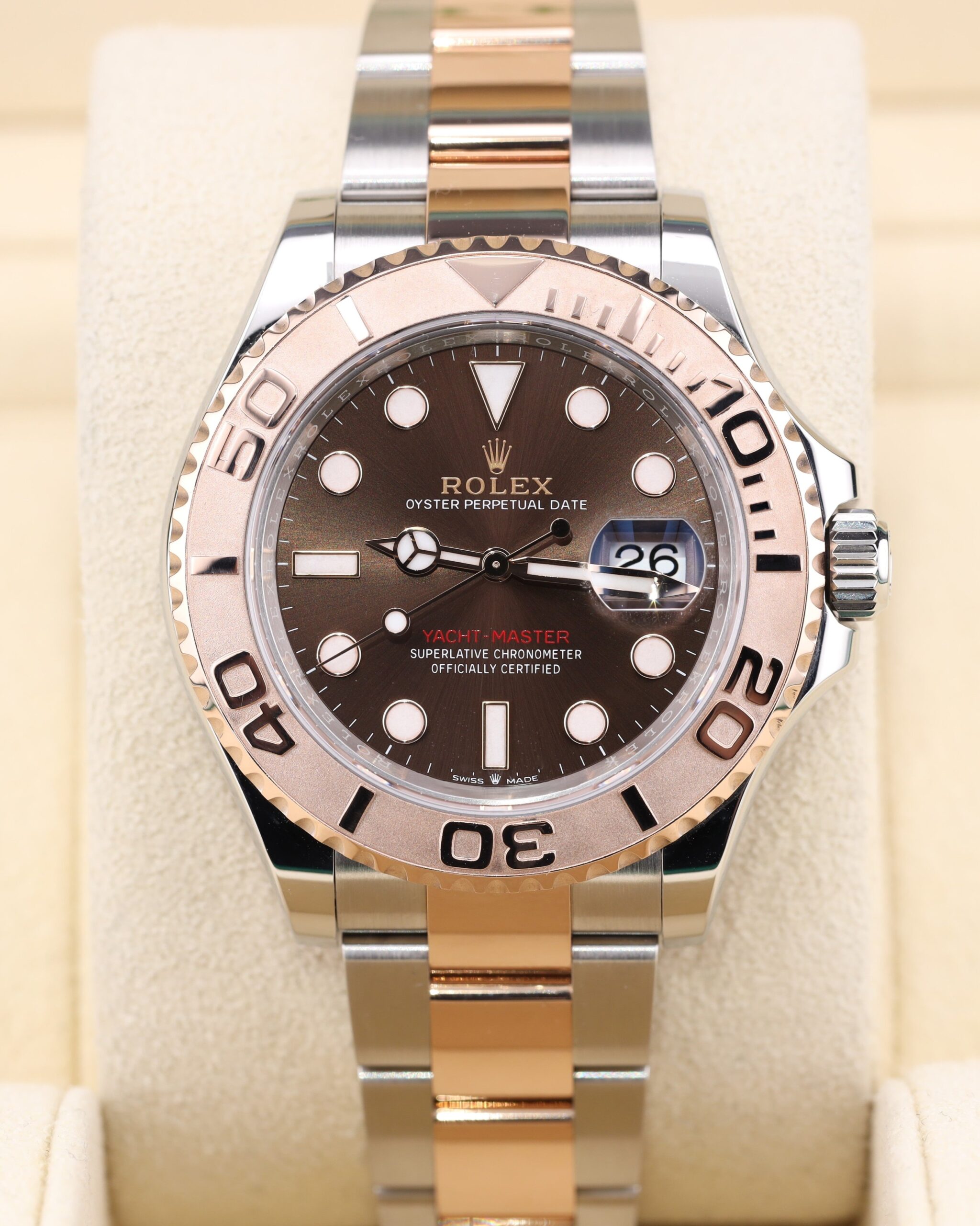 Two-tone luxury wristwatch with chocolate dial